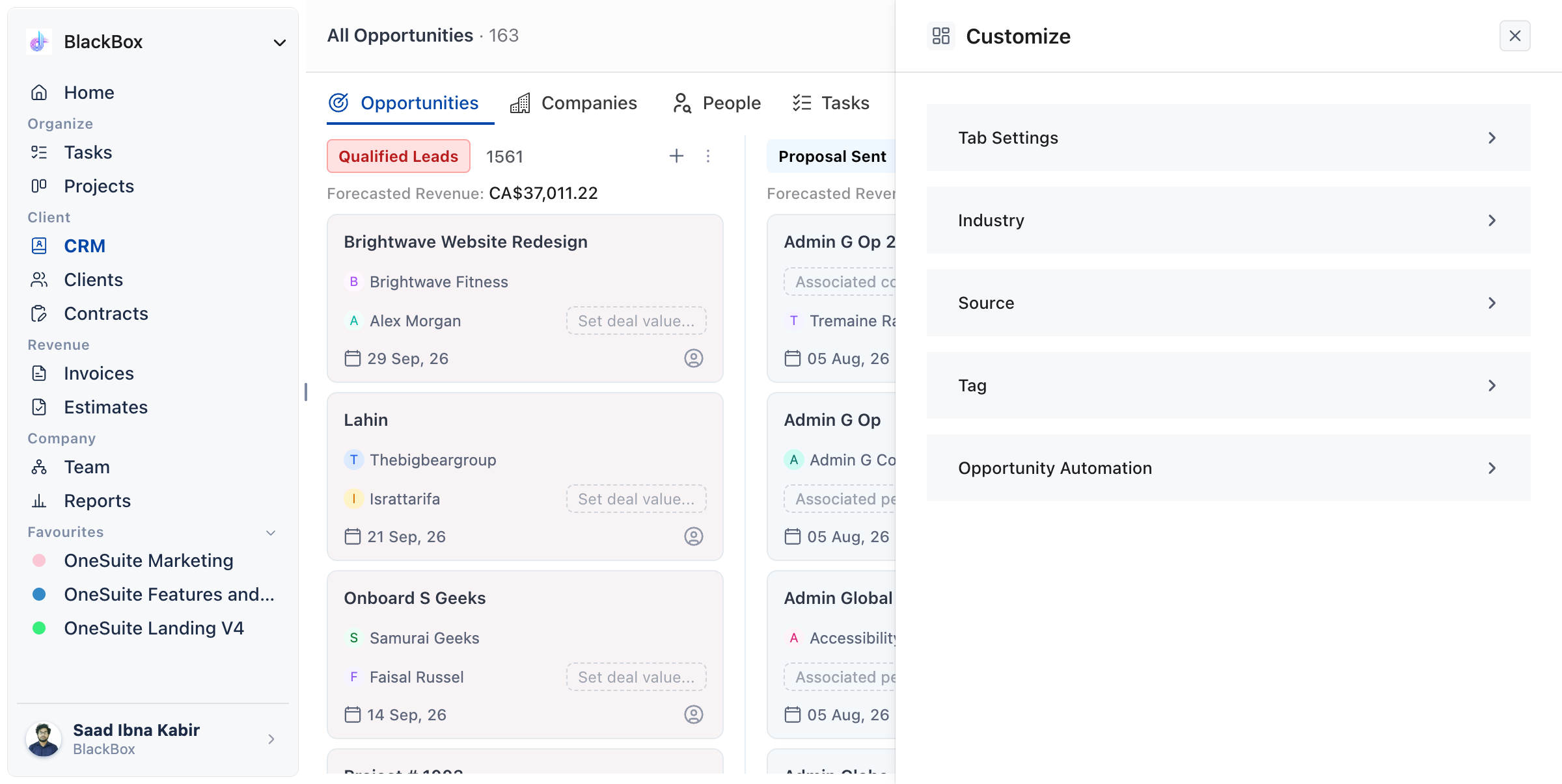 Customize panel open from the Opportunities view, showing its five sections